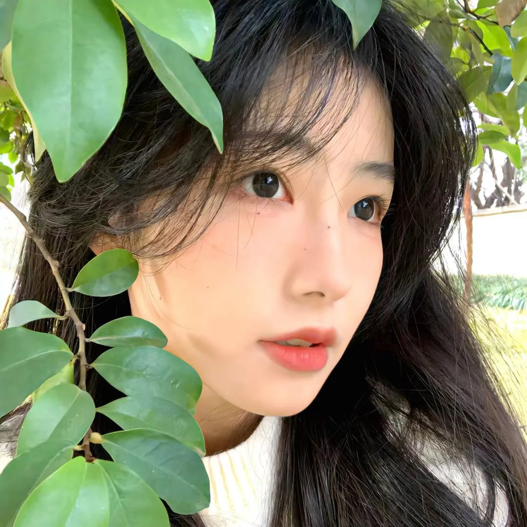 单身男女国语